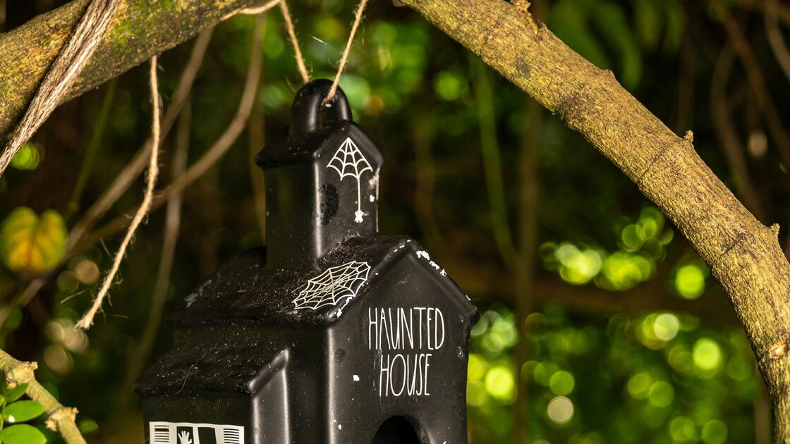 A haunted-house birdhouse hanging from a tree at Fairchild Tropical Botanic Garden